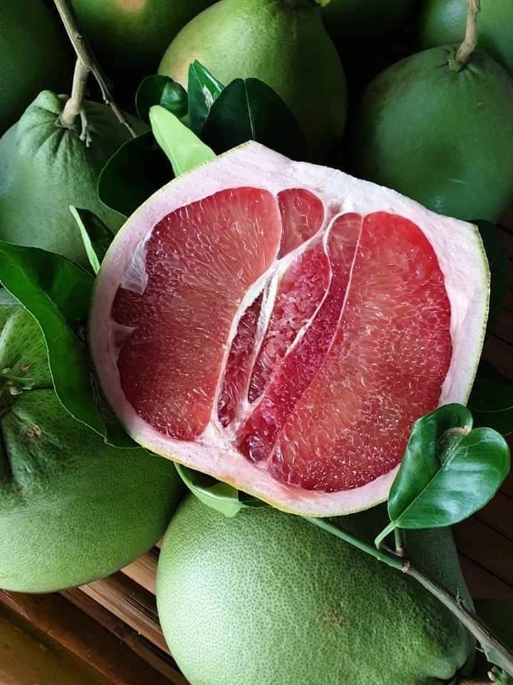Pomelo