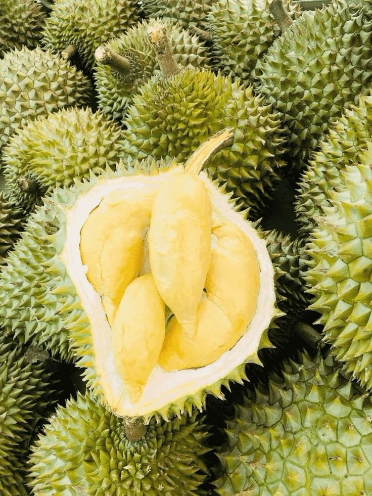 Durian
