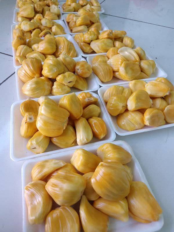 Jackfruit