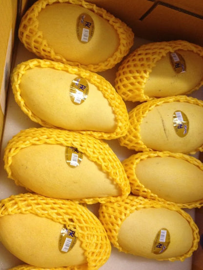 Mango